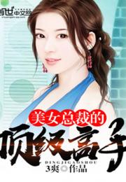 女总裁的极品外卖员大结局，女总裁的极品高手免费阅读--第1张