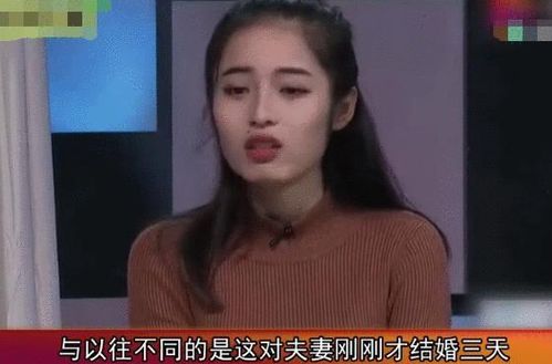 夜少你老婆又闹离婚了免费阅读 夜少，你老婆又跑了！短剧大结局哪里看 --第1张
