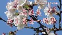 繁花初见不知迟短剧大结局哪里看 繁花初绽 --第1张