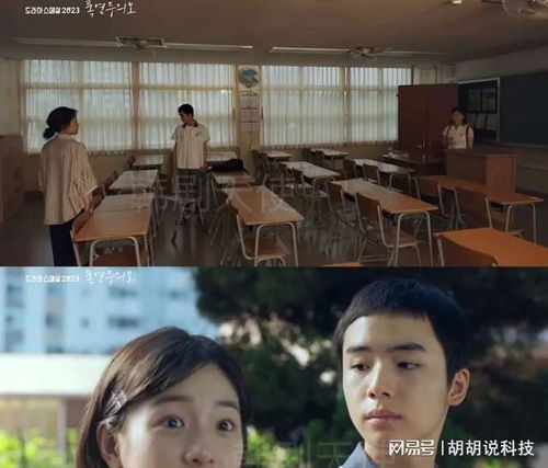 巧识少年情深种短剧大结局在线观看--第1张