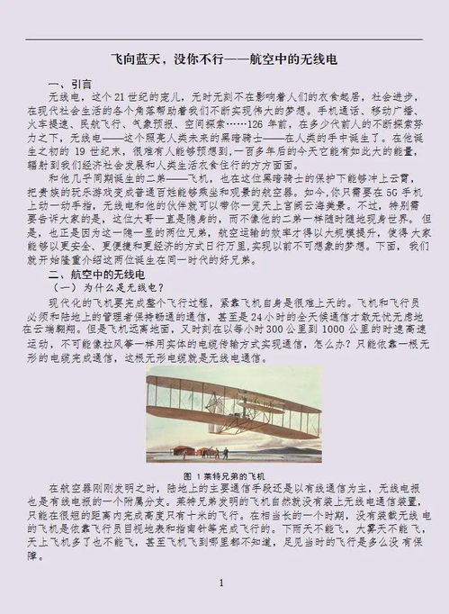 飞向蓝天合短剧大结局在哪个平台播出--第1张