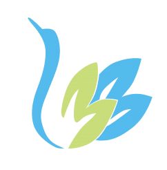 千金隐藏身份去上学，见招拆招大结局在哪个平台可以观看？--第1张