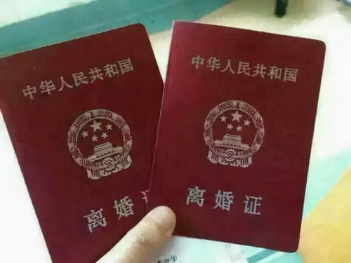爹地快来妈咪要离婚大结局在线观看--第1张