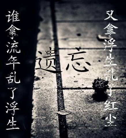 往后余生无你，短剧大结局在线观看--第1张