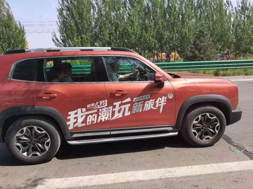 傅先生的白月光结尾篇 傅总的白月光又甜又野——王子怡短剧大结局哪里看 --第1张