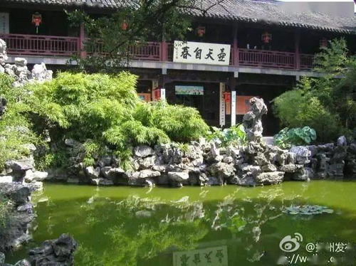 苏少的掌中之物短剧大结局哪里看 掌中之物少说 --第1张