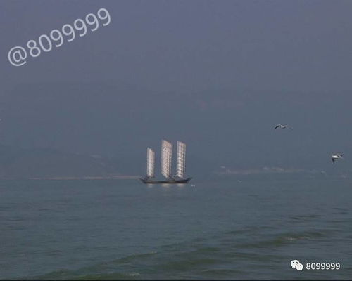 千帆过尽仍是你短剧大结局哪里看 千帆过尽仍是你短剧大结局哪里看的 --第1张