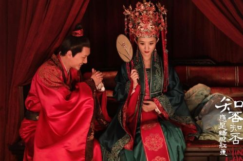 离婚后少夫人每天都想官宣免费阅读大结局，洛少狂宠太精彩！--第1张