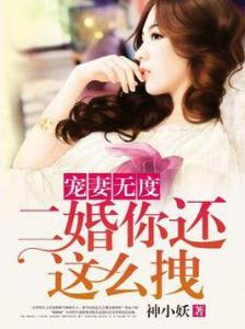 司少宠妻无度大结局观看地址--第1张