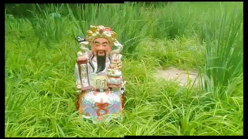 财神落难记大结局在线观看--第1张