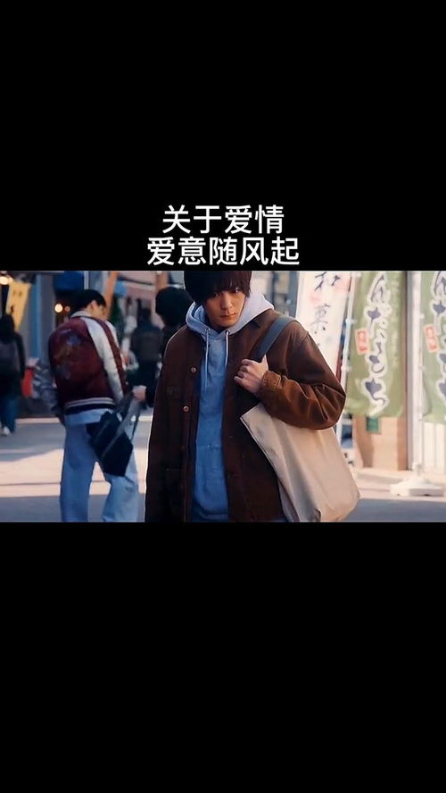 爱意随风起短剧大结局完整版在线观看 《爱意随风起》 --第1张