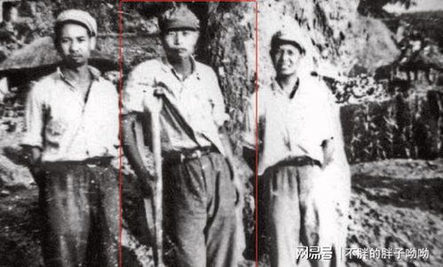 龙隐于田老农父亲是大佬短剧大结局在线观看--第1张