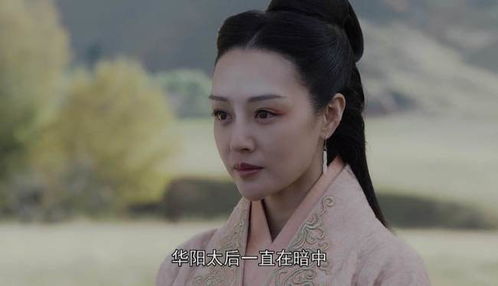 楚少夫人又闹离婚 楚少夫人是冤枉的短剧大结局完整版在线观看 --第1张
