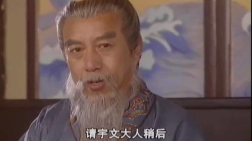 暴躁太子爷短剧免费完整版大结局在线观看--第1张