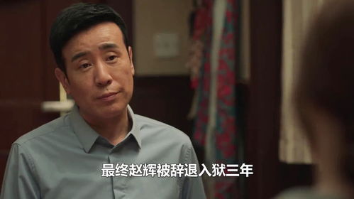 藏起孕肚离开，郑晨雨离职大结局完整版在线观看，霍总急疯了小说--第1张