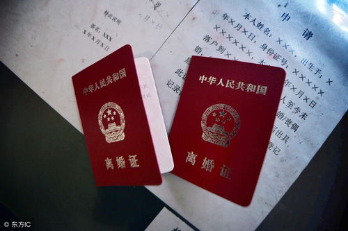 爹地快来,妈咪要离婚全文免费阅读 爹地妈咪快领证短剧大结局完整版在线观看 --第1张