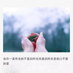 放弃所有拥抱你完整版鹿鹿大结局免费观看，卢c鹿鹿短剧--第1张