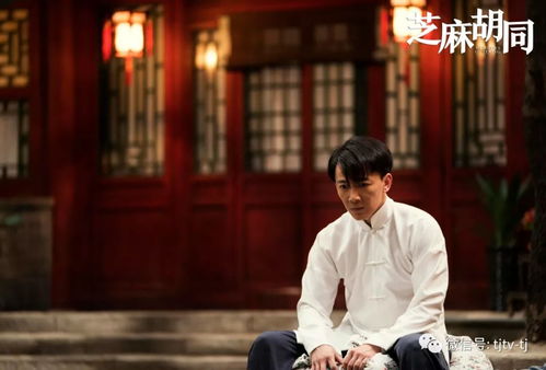 家主夫人改嫁，家主别虐完整版--第1张
