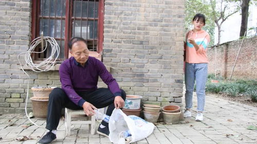 女儿别回家大结局完整版在线观看视频--第1张
