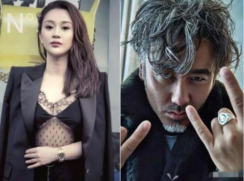 张大人短剧大结局完整版在线观看，张大人角色解析--第1张