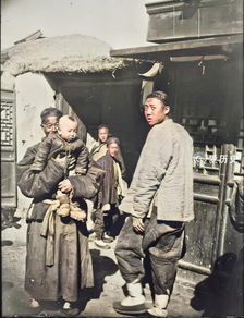 小保安，绝代双娇大结局在线观看--第1张