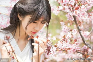 墨染梨花白白方文短剧大结局在线观看，墨染花礼--第1张