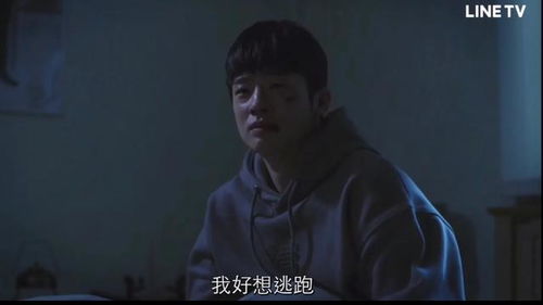 天少爷与三爷的爱恨情仇，夫人她不爱了--第1张