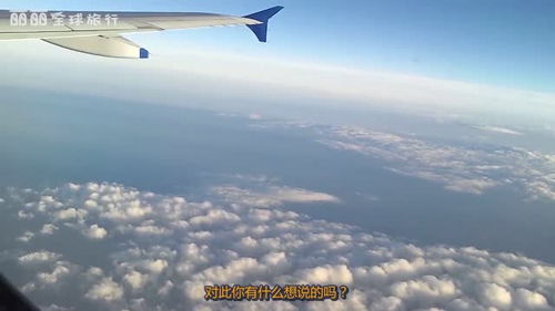 飞上蓝天空中奇遇短剧大结局完整版在线观看 飞上蓝天的图片 --第1张