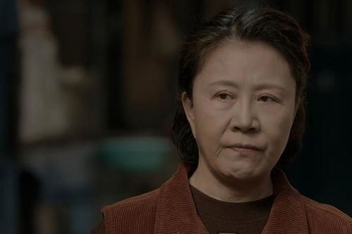 南总夫人罪不至死短剧完整版在线观看，大结局--第1张