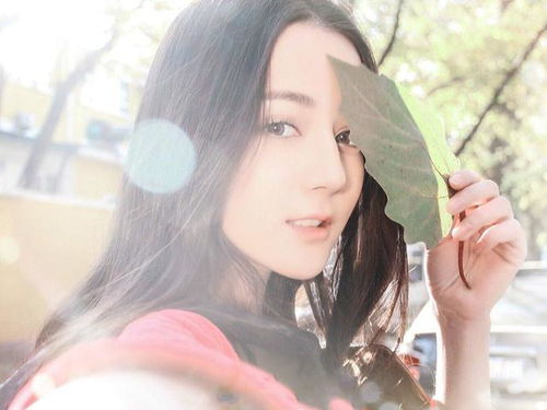 与影帝隐婚后我爆红了短剧大结局完整版在线观看 与影帝隐婚的第二年全文阅读 --第1张