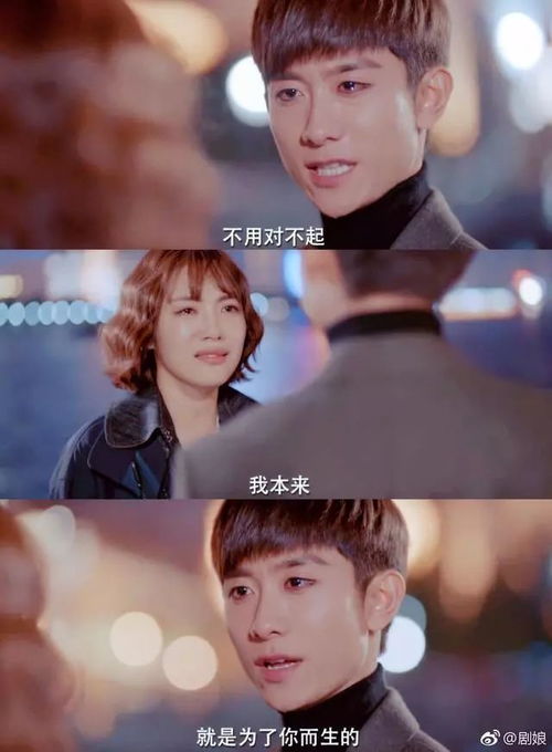 至尊百度百科，短剧大结局在线观看完整版--第1张