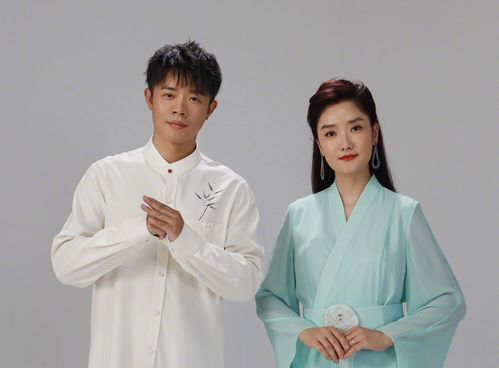 穆兰传奇大结局完整版在线观看视频--第1张