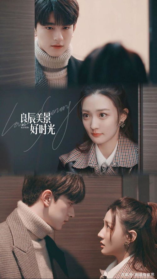 傅少独宠，甜妻撩人完整版--第1张