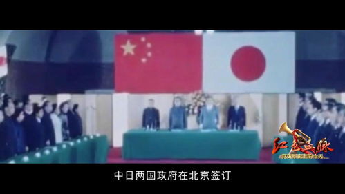8月12日是世界急救日或国际左撇子日--第1张