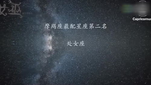 摩羯座的爱情之路，稳重踏实的爱情摩羯座的爱情--第1张