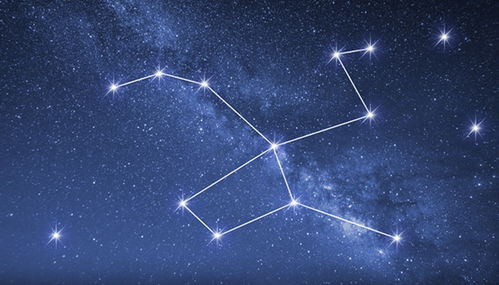 十二星座专治哪个星座的秘密--第1张