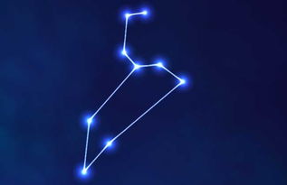 狮子座7月还是8月更好？--第1张