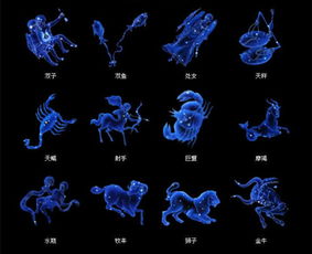 12月份是什么星座的 一月星座，探索你的内在宇宙 --第1张