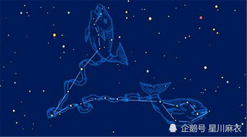 中国星座网，揭秘你的星座运势--第1张