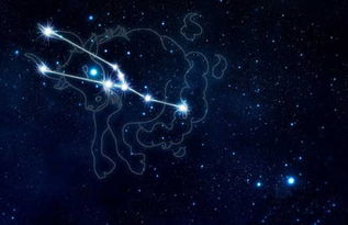 8月出生的星座是狮子座或处女座。--第1张