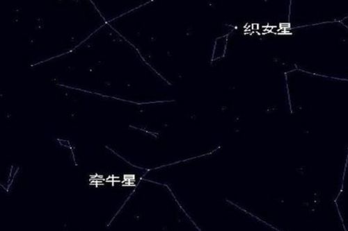 织女星是处女座中最亮的星。--第1张