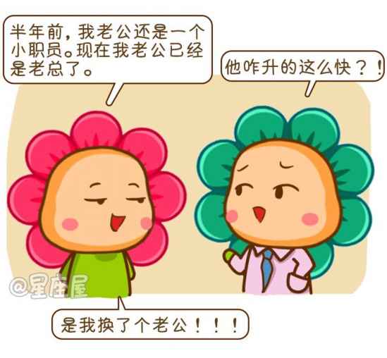 十二星座的今日运势星座屋 十二星座的今日运势星座屋十二星座运势 --第1张