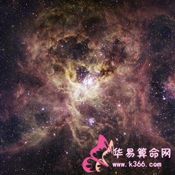 巨蟹女注定嫁给哪个星座男的 巨蟹女注定嫁给哪个星座男 --第1张
