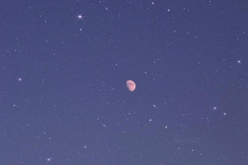 2022年七月出生是什么星座--第1张