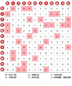 生肖配对姻缘表，生肖配对与姻缘预测--第1张