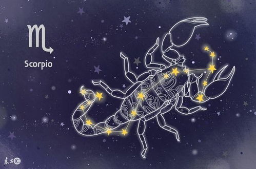 关于星座的文案句子 揭秘星座，探索你的命运之轮 --第1张