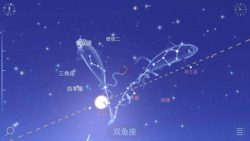 3月3号是什么星座的人物 三月三号，神秘星座的奇妙之旅 --第1张