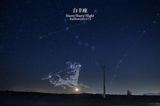 白羊女最吸引哪个星座男 白羊女最吸引哪个星座 --第1张