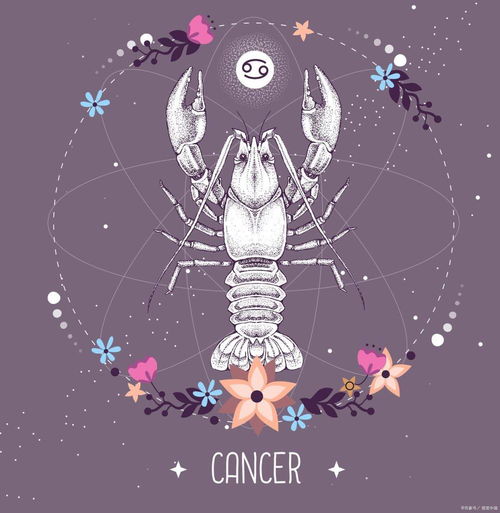 双鱼座眼中的十二星座，浪漫多情的星座代表--第1张