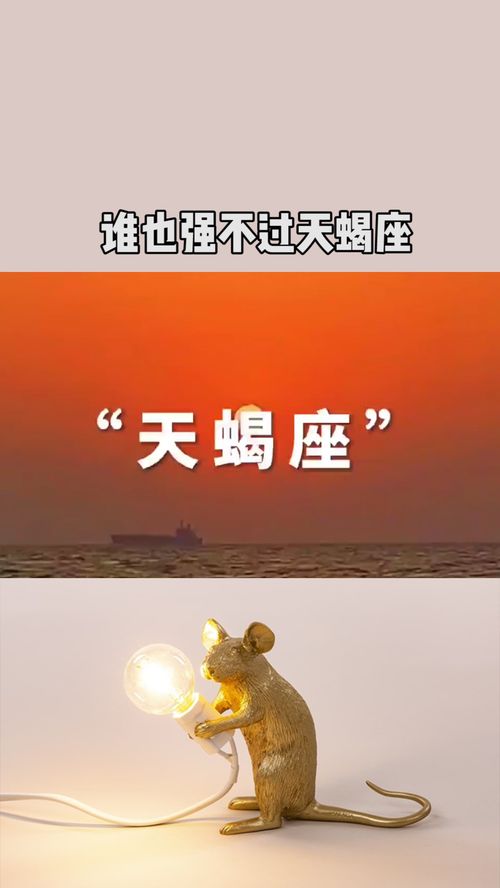 陶白白说天蝎座女爱情 陶白白说天蝎座女爱情是真的吗 --第1张